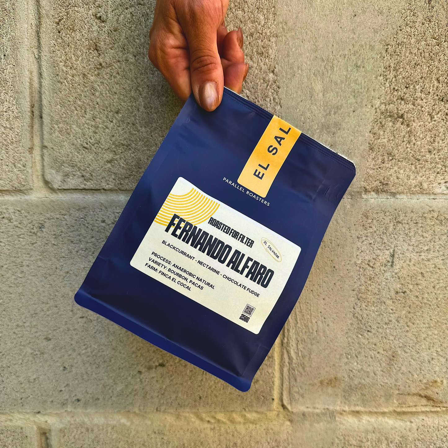 EL SALVADOR FERNANDO ALFARO